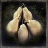 VA02_A conference of pears.jpg